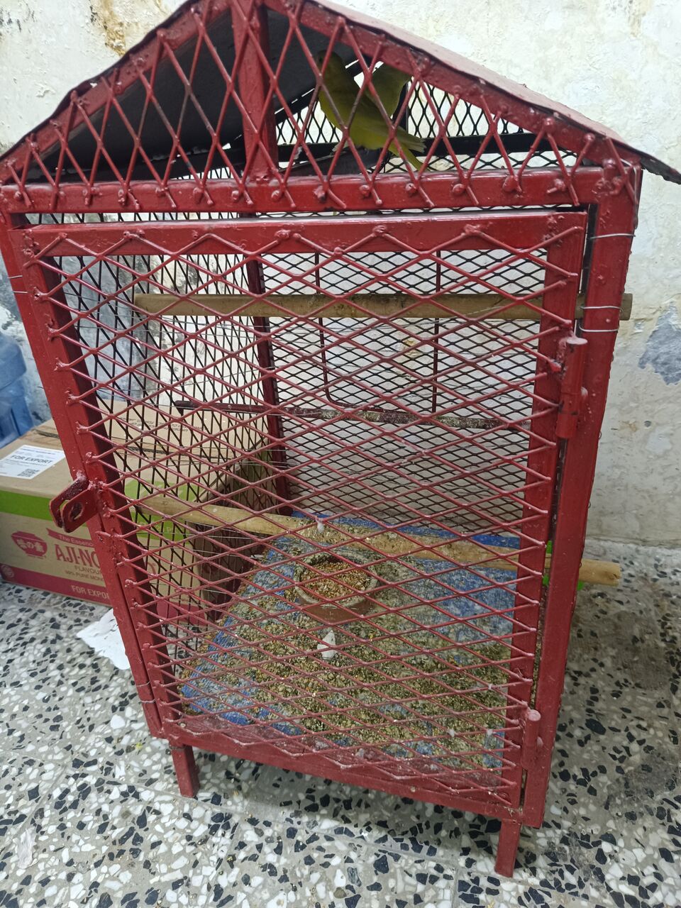 Dammam, Pet Supplies, SAR 100,  Steel Bird Cage &ndash; 60&times;45&times;45 Cm