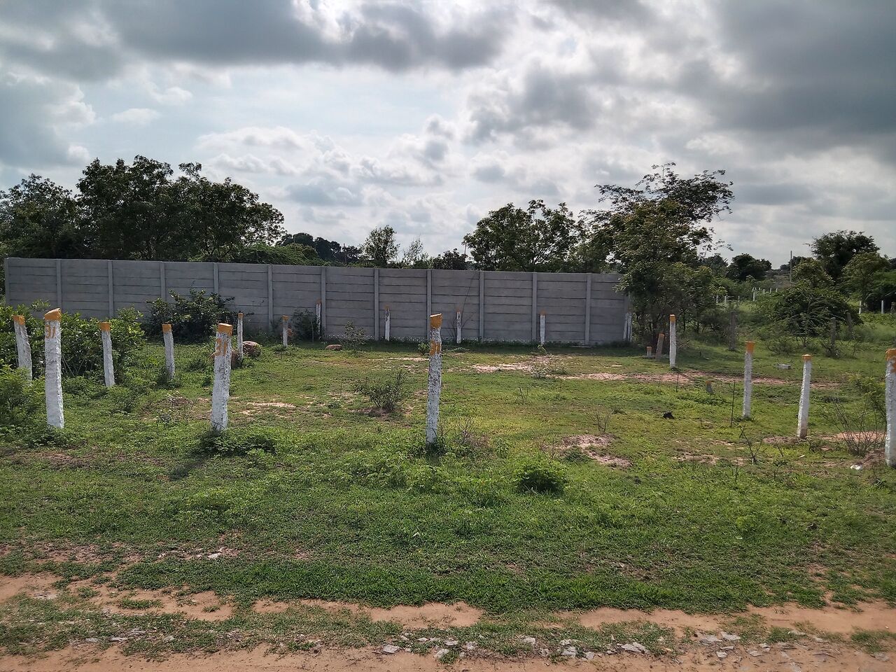 Hyderabad, Real Estate For Sale, INR 38,  Studio,  250 Sq. Yard,  Swagath Holiday Inn Nest C-Block Plot For Sale 250 Sqrd Moinabad