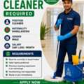 Cleaner