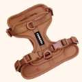 Guide To Comfortable And Controlled Dog Walks