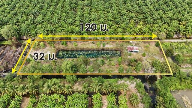 Bangkok, Real Estate For Sale, THB 1690000,  6 BR,  960 Sq. Feet,  Urgent Sale, Vacant Land 2-1-60 Rai, Along Khlong 12, Nong Suea, Cheap Price.