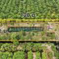 THB 1690000,  6 BR,  960 Sq. Feet,  Urgent Sale, Vacant Land 2-1-60 Rai, Along Khlong 12, Nong Suea, Cheap Price.