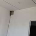 Painter With Experience