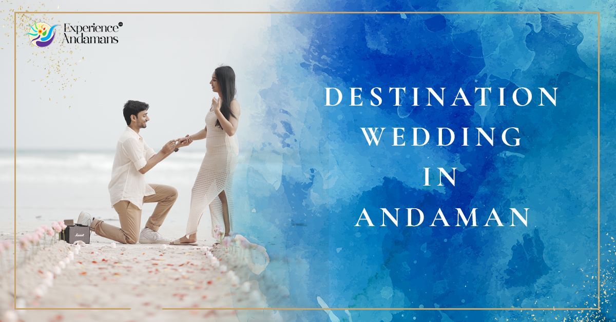 Mumbai, Travel, Destination Wedding In Andaman And Nicobar Islands: A Complete Guide To Your Dream Island