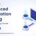 Online Penetration Testing Training