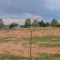 INR 16499,  250 Sq. Yard,  Premium Layout Hmda & Rera Approved Layout Near Amazon Data Center