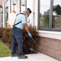 Ant Pest Control Calgary For Homes & Yards