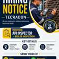 API INSPECTOR FOR BOILER