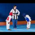 Taekwondo Classes In Abu Dhabi &ndash; Build Strength, Confidence & Discipline