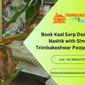 Book Kaal Sarp Dosh Puja Nashik With Simple Trimbakeshwar Pooja Booking