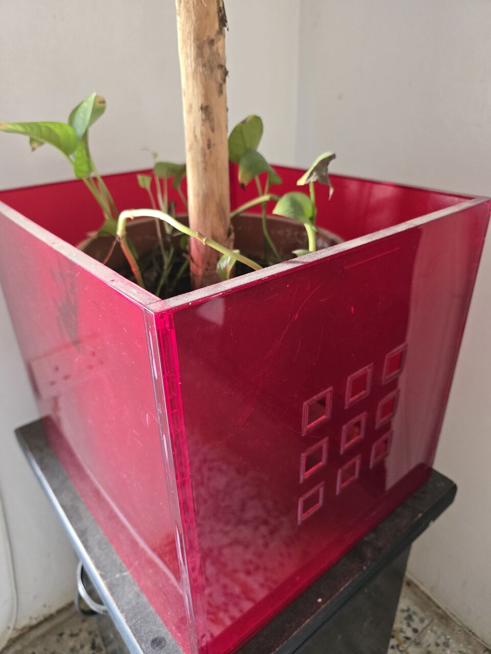 Jeddah, Household Items, SAR 5,  Flower Vase With Plants
