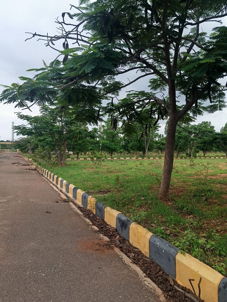 Hyderabad, Residential Plots, INR 12999,  350 Sq. Yard,  Low Budget Premium Open Plots For Sale Near Future City Fcda Office