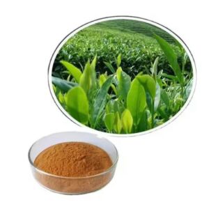 Mumbai, Health & Beauty Items, Indian Berberine Manufacturers In India