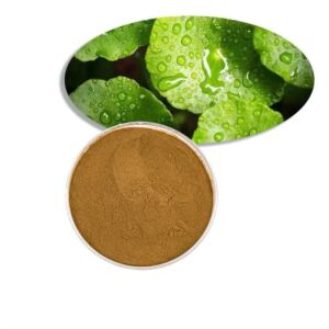 Mumbai, Health & Beauty Items, Senna Extract (10% To 60%) Manufacturers In India