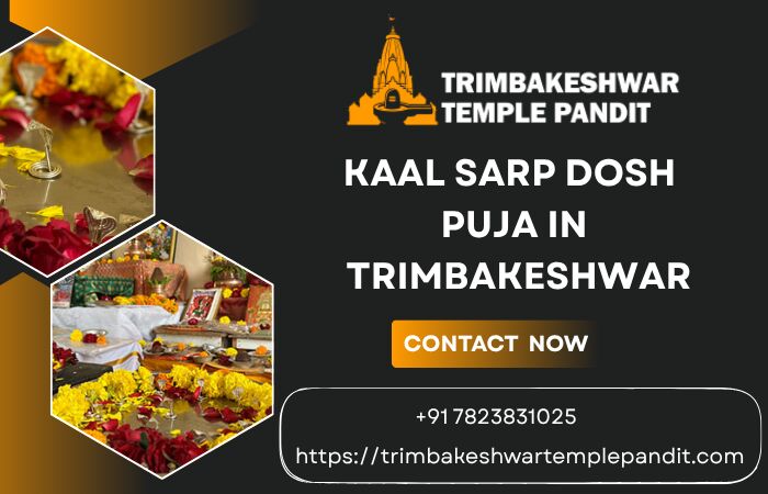 Mumbai, Business, Find A Trusted Pandit For Kaal Sarp Puja In Trimbakeshwar