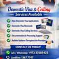 Domestic Visa & Ceiling Services Available