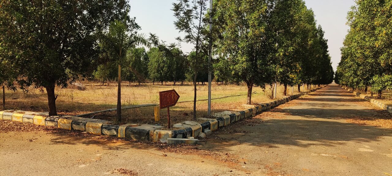 Hyderabad, Residential Plots, INR 37999,  350 Sq. Yard,  Final Lp Approved Open Plots For Sale Near Inside ORR Exit No 14