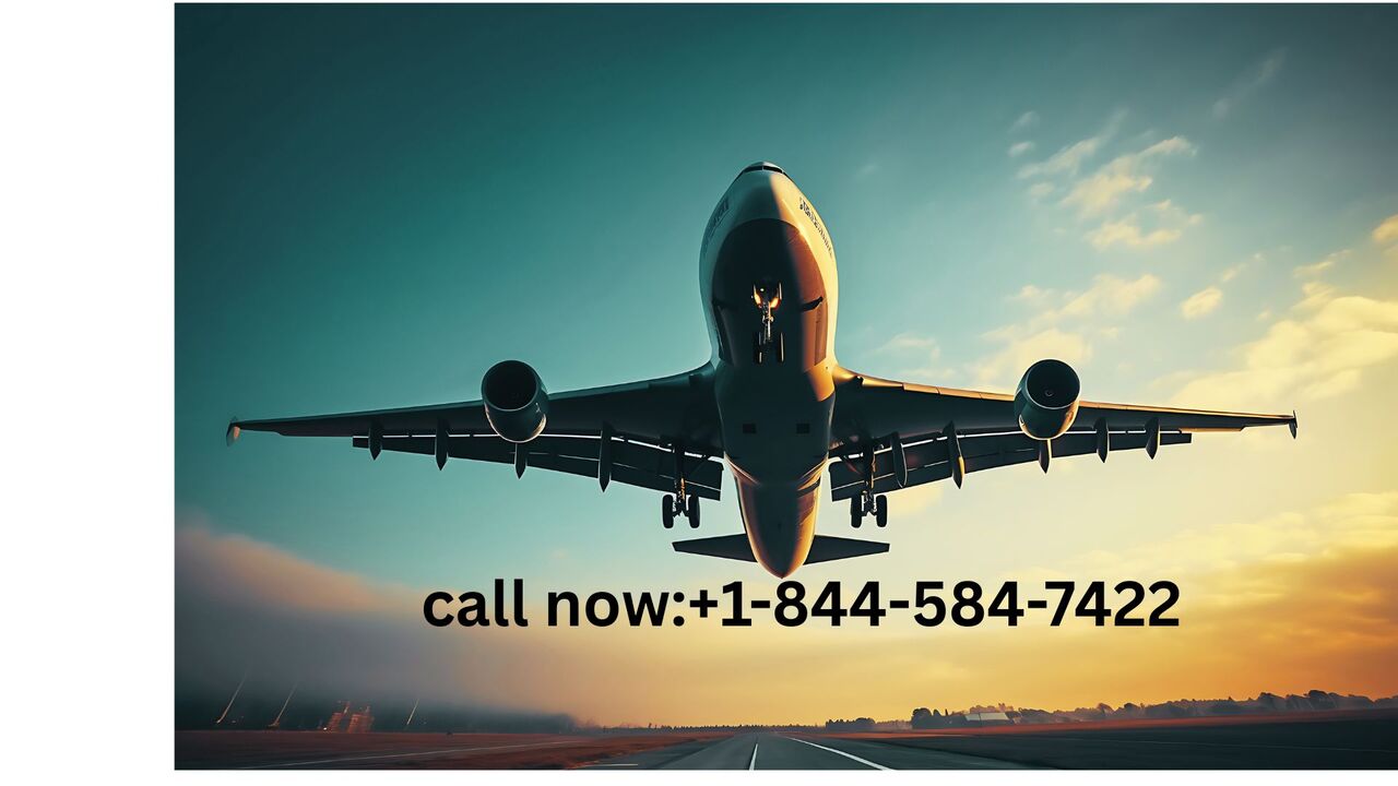 New York, Travel, ¿Cuánto Tiempo Tarda Expedia En Realizar Un Reembolso?