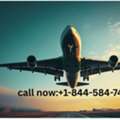 ¿Cuánto Tiempo Tarda Expedia En Realizar Un Reembolso?