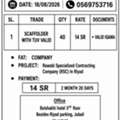 Scaffolder With TUV Valid
