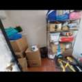 SAR 550,  Storage Shelves