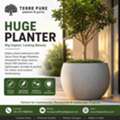 Stylish Huge Planter For Modern Green Spaces