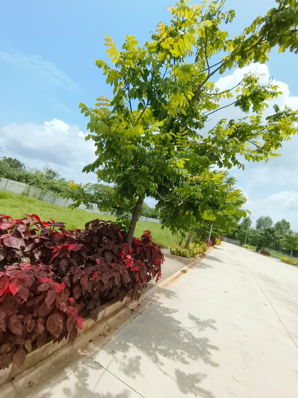 Hyderabad, Residential Plots, INR 23000,  260 Sq. Yard,  HMDA&RERA FINAL APPROVED Open Plots For Sale @Maheshwaram