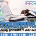 Accounting Monitoring Consultant Adviser