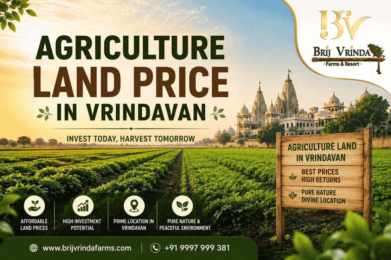 Lucknow, Agricultural Land, The Buyer&rsquo;s Checklist For Pricing Agriculture Land In Vrindavan (2026)