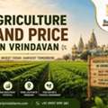 The Buyer&rsquo;s Checklist For Pricing Agriculture Land In Vrindavan (2026)