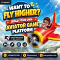 Want To Fly Higher? Build Your Own Aviator Game Platform