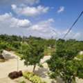 INR 23000,  260 Sq. Yard,  HMDA & RERA FINAL APPROVED Open Plots For Sale @ Maheshwaram