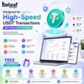 USD 5000,  Designed For High-Speed USDT Transactions With Flash