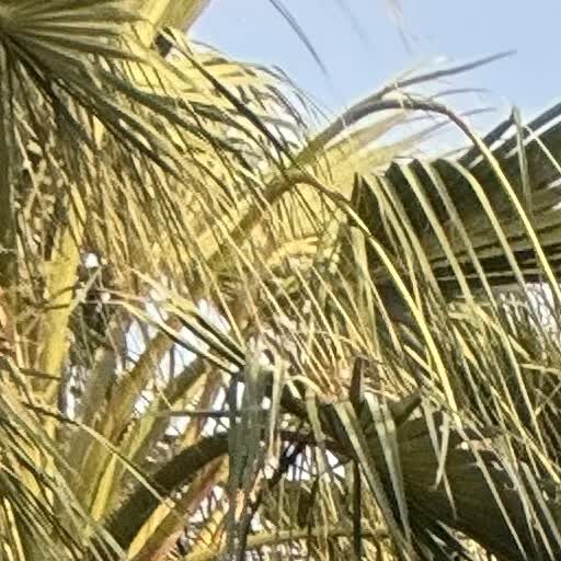 Khobar, Vehicles, Cars & Trucks , SAR 55000,  Honda Accord 2016 - Mint Condition,  2016,  Automatic,  207500 KM,  I Am Selling My Honda Accord  Mint Condition