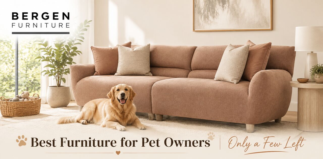 New York, Furniture, Best Furniture For Pet Owners | Only A Few Left
