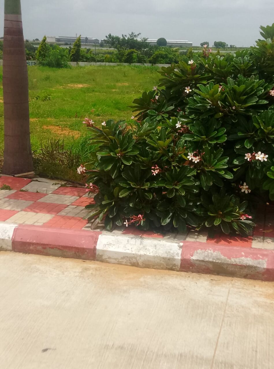 Hyderabad, Residential Plots, INR 22000,  200 Sq. Yard,  HMDA & RERA  APPROVED Open Plots For Sale @ Maheshwaram