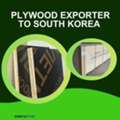 Plywood Exporter To South Korea