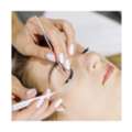 Erfolgreich Mit Lash Extensions Schulung Durchstarten?