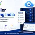 Reseller Hosting India For Agencies, Developers And Hosting Businesses