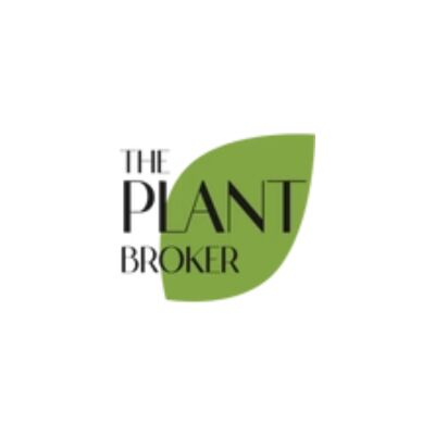 Melbourne, Business, Best Plant Nursery In Melbourne