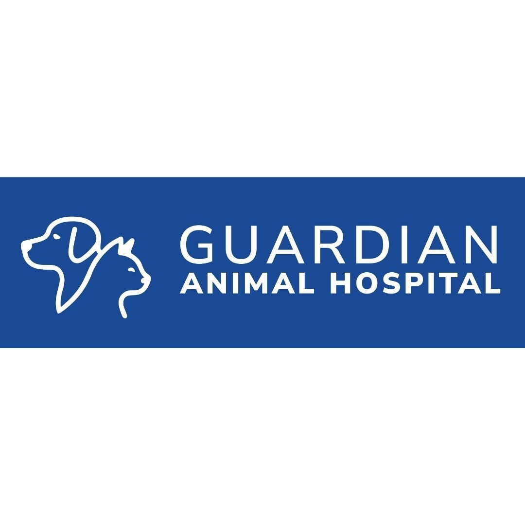 Surrey, Medical, Trusted Veterinary Care At Guardian Animal Hospital In Surrey