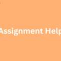 What Are The Best Resources For HR Assignment Help?