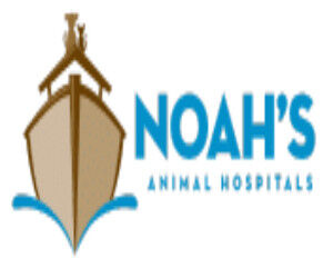 New York, Business, Noah