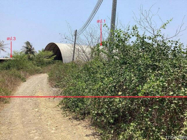 Bangkok, Real Estate For Sale, THB 5763000,  6 BR,  2618 Sq. Feet,  One-story Warehouse For Sale Prachuap Khiri Khan, Kui Nuea Subdistrict, Kui Buri District
