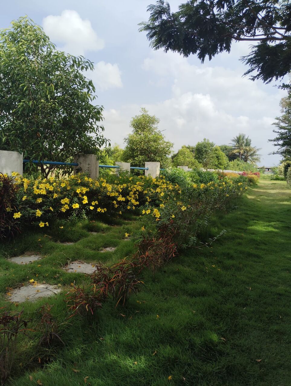 Hyderabad, Residential Plots, INR 22000,  183 Sq. Yard,  HMDA & RERA APPROVED OPEN PLOTS FOR SALE @MAHESHWARAM
