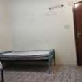 SAR 360/month,  Bed Space Available