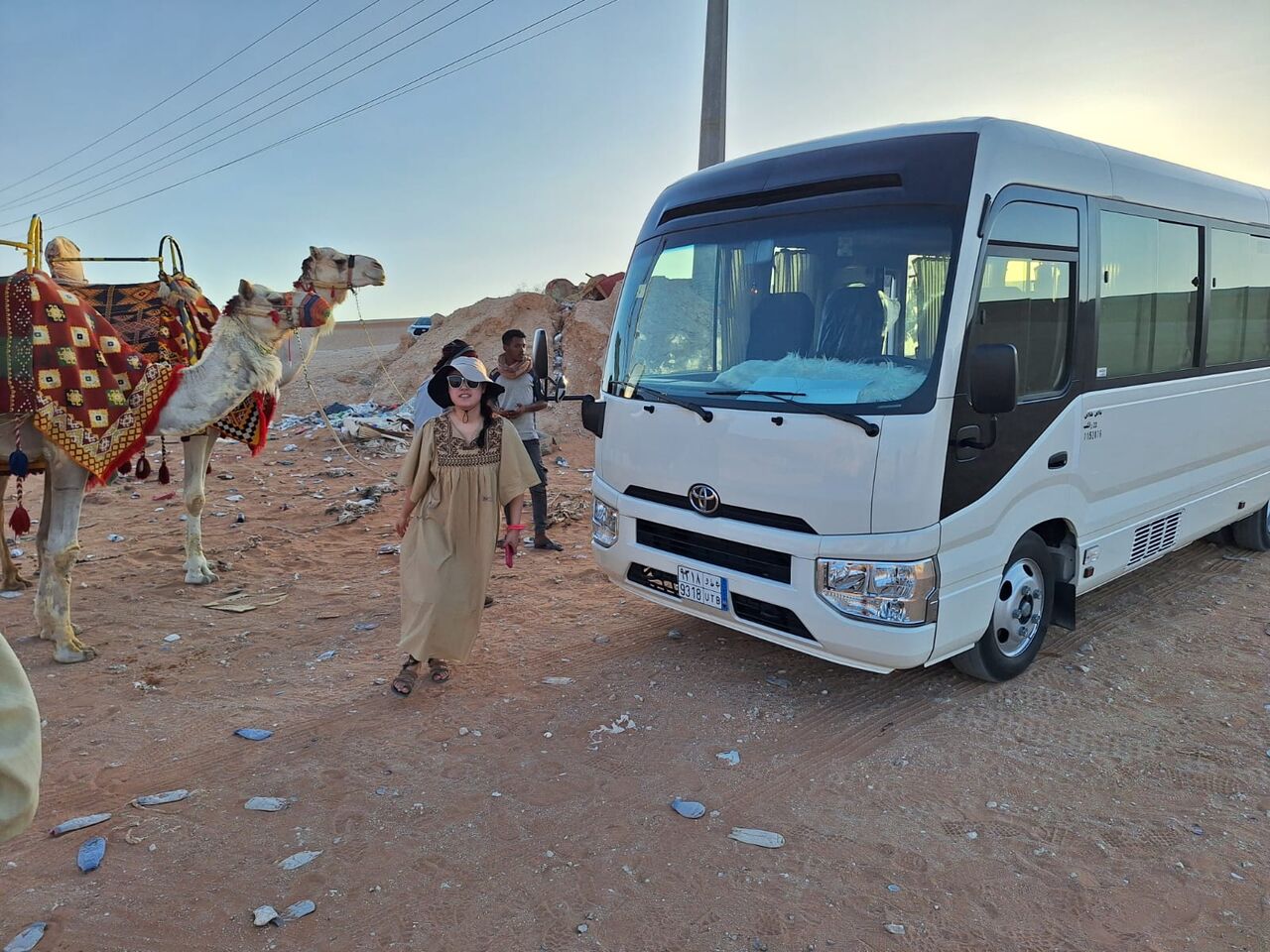 Al Andalus, Passenger Transport, BUS RENTAL RIYADH | COASTER & BUS FOR RENT | TRANSPORT SERVICES