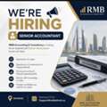 Accountant