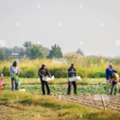 Agriculture