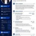 Sales Executive